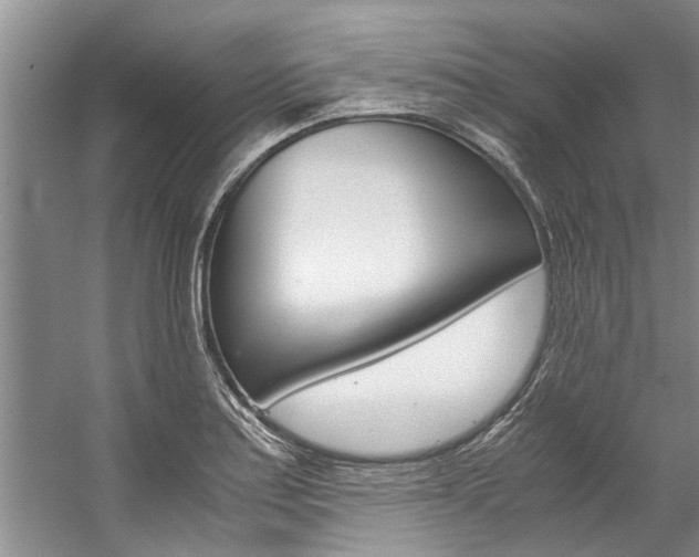 X0000059091179200510070948