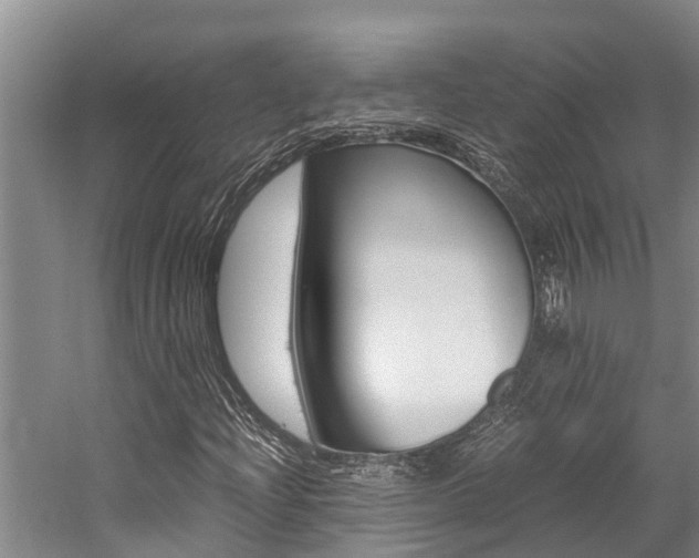 X0000059091204200510070947