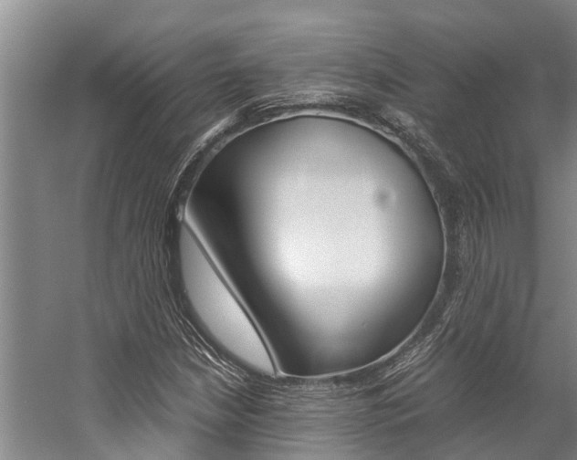 X0000059091210200510070947