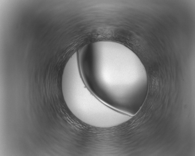 X0000059091250200510070947
