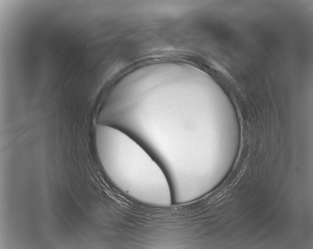 X0000059091259200510070947