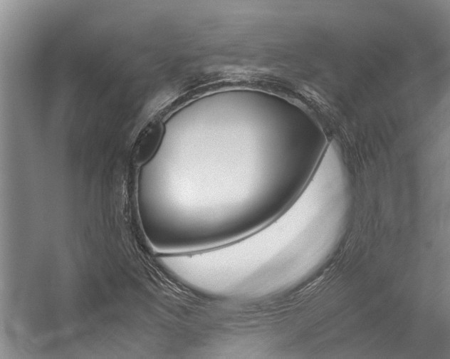 X0000059091261200510070947