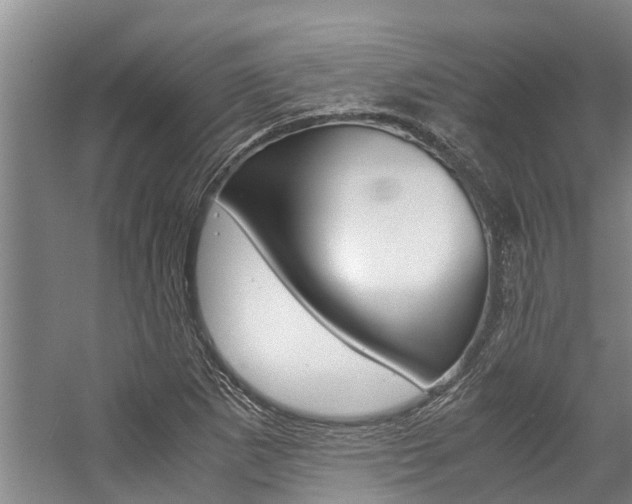 X0000059091265200510070946