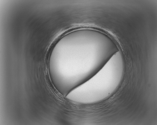 X0000059091271200510070946