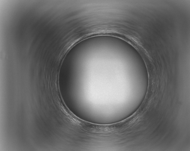 X0000059091273200510070946