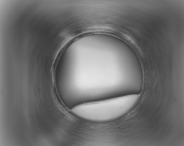 X0000059091275200510070946