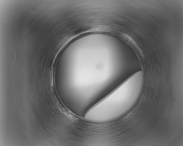 X0000059091276200510070946