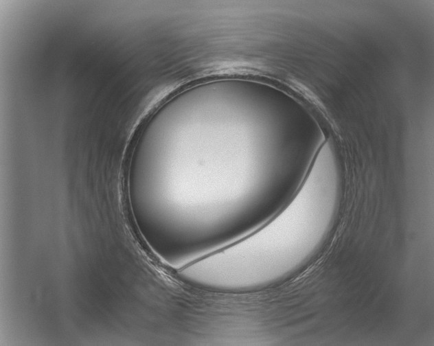 X0000059091277200510070946