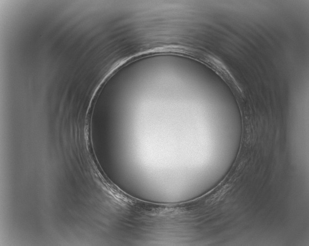 X0000059091284200510070946