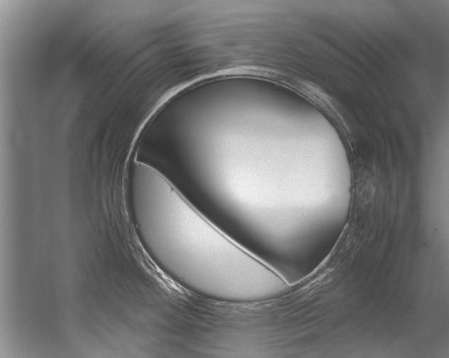 X0000059091292200510070946