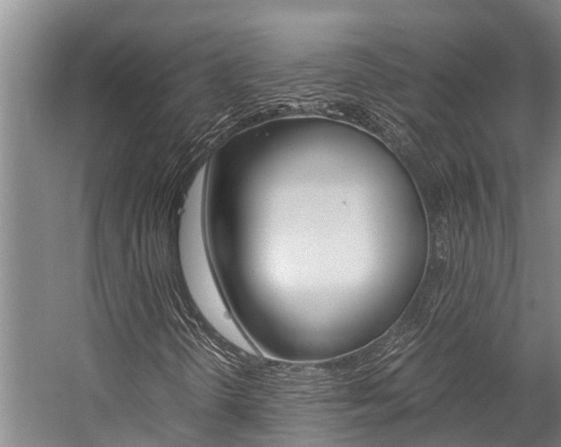 X0000059091298200510070945