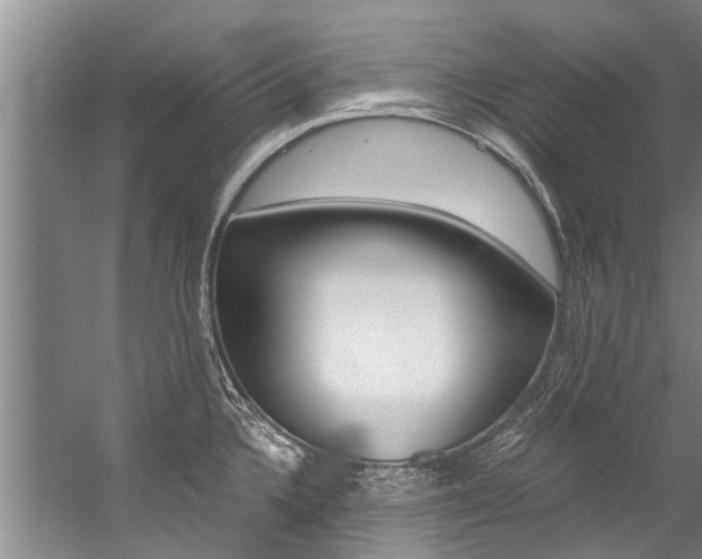 X0000059091336200510070946
