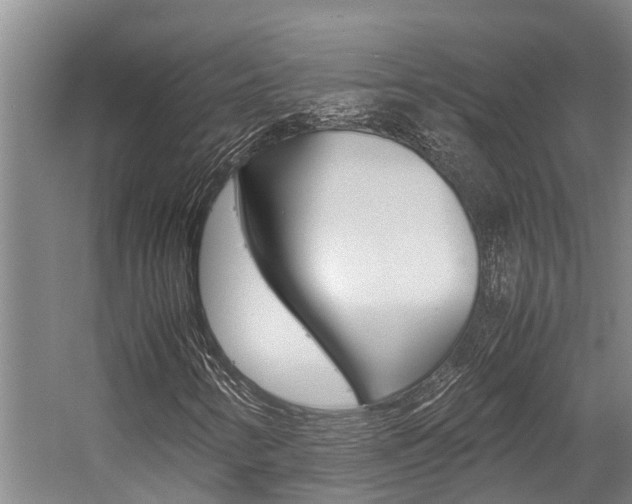 X0000059091346200510070945
