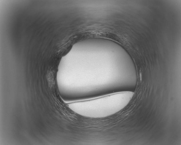 X0000059091347200510070945