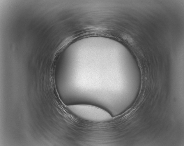 X0000059091354200510070945