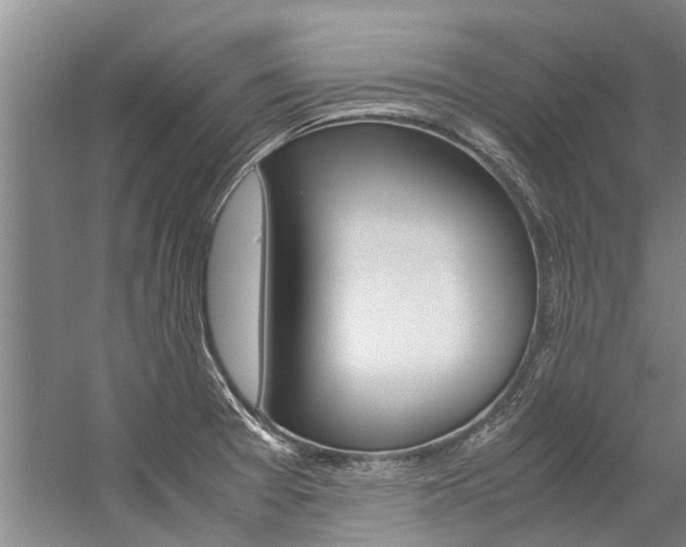 X0000059091377200510070945