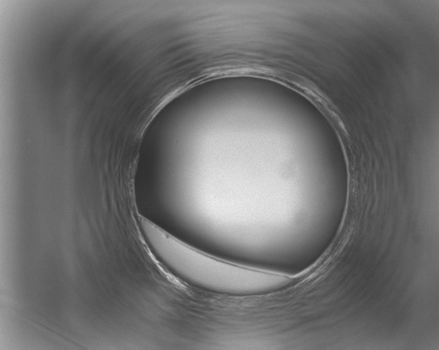 X0000059091385200510070944