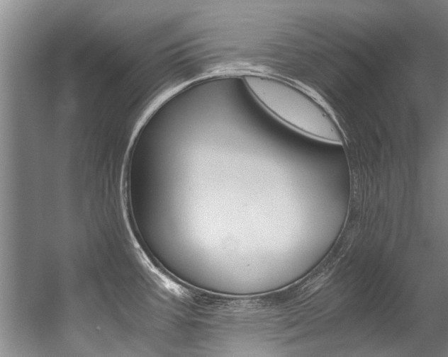 X0000059091387200510070944
