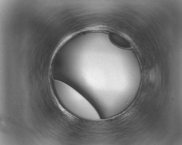 X0000059091421200510070944