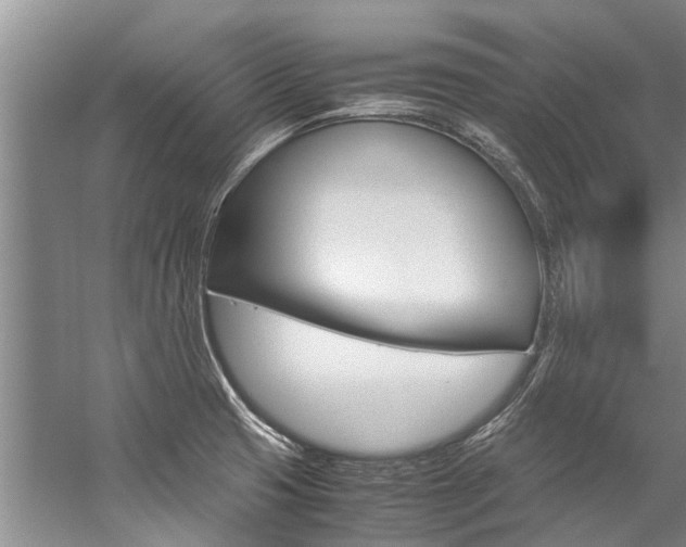 X0000059091425200510070944