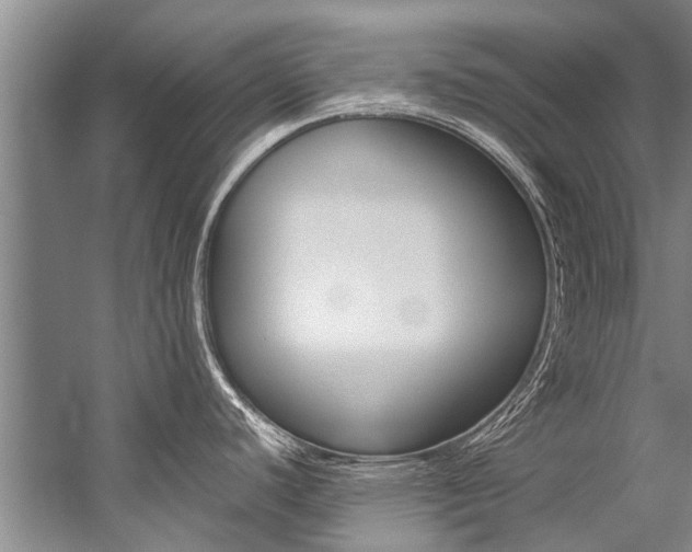 X0000059091440200510070944