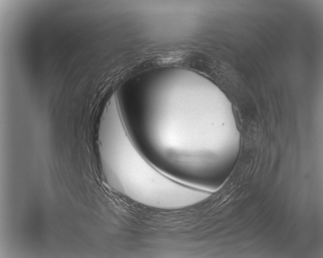 X0000059091441200510070943