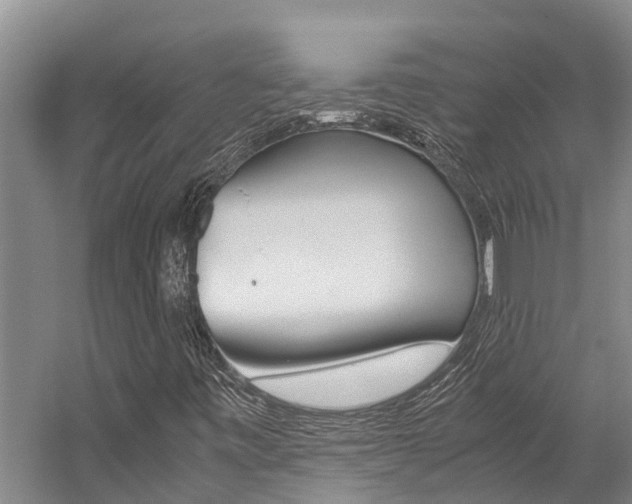 X0000059091443200510070943
