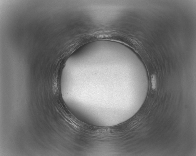 X0000059091444200510070943