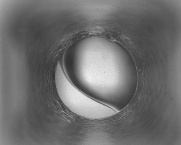 X0000059091445200510070943