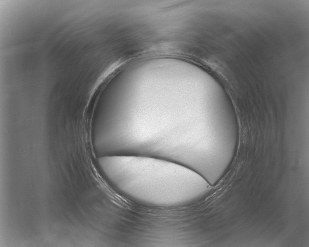 X0000059091458200510070943