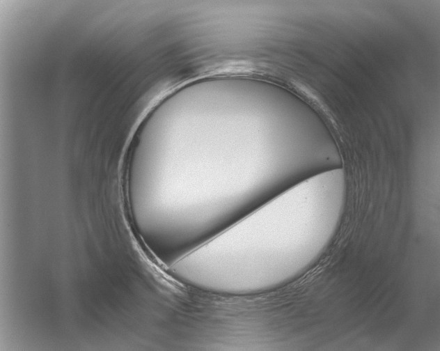 X0000059091475200510070943