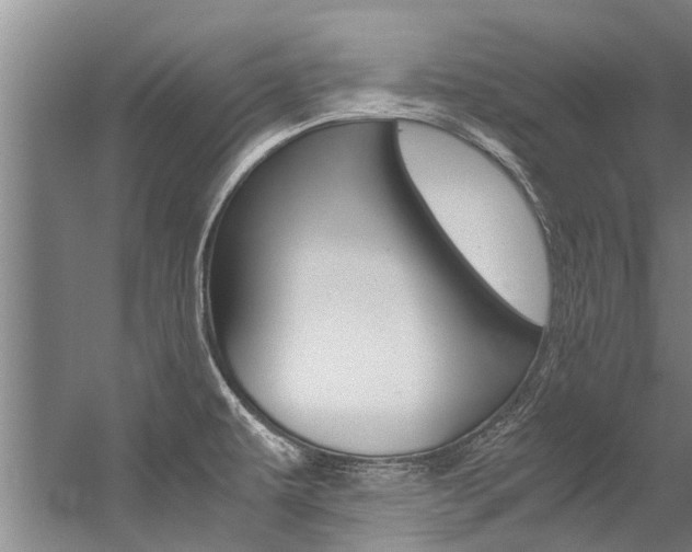 X0000059091479200510070943