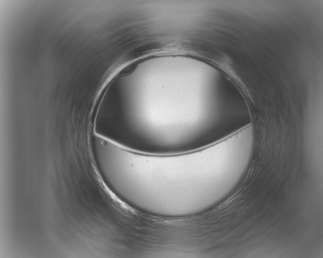 X0000059091484200510070943