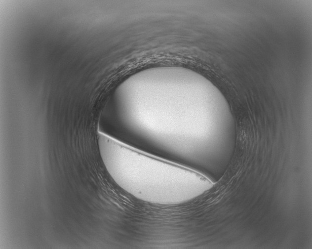 X0000059091490200510070942