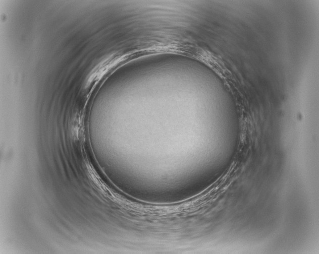X0000059090002200510071150