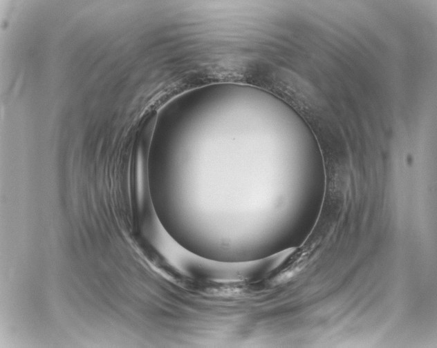 X0000059090084200510071149
