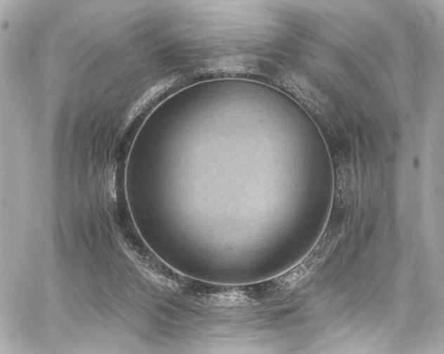 X0000059090112200510071148