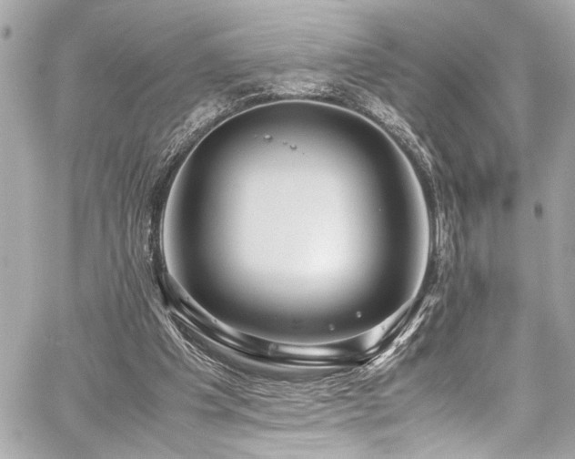 X0000059090201200510071147