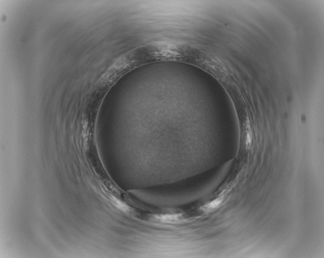 X0000059090223200510071146