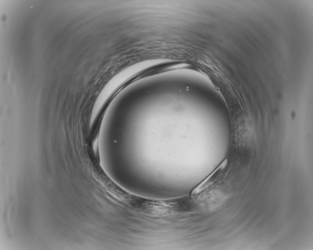 X0000059090229200510071146