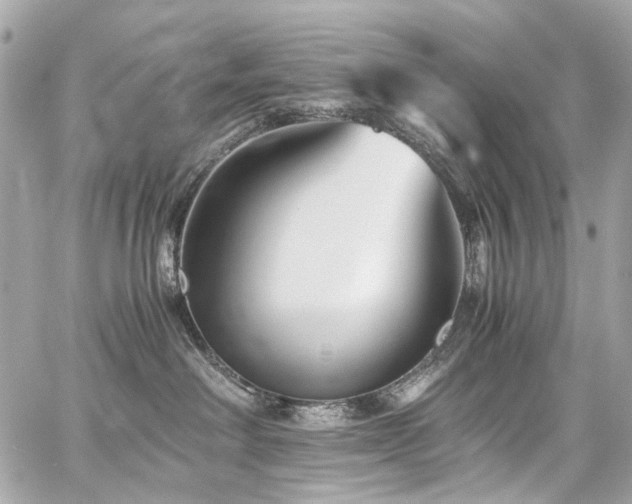 X0000059090238200510071146