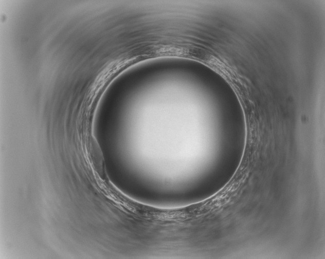 X0000059090241200510071145