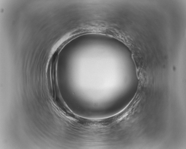 X0000059090246200510071145