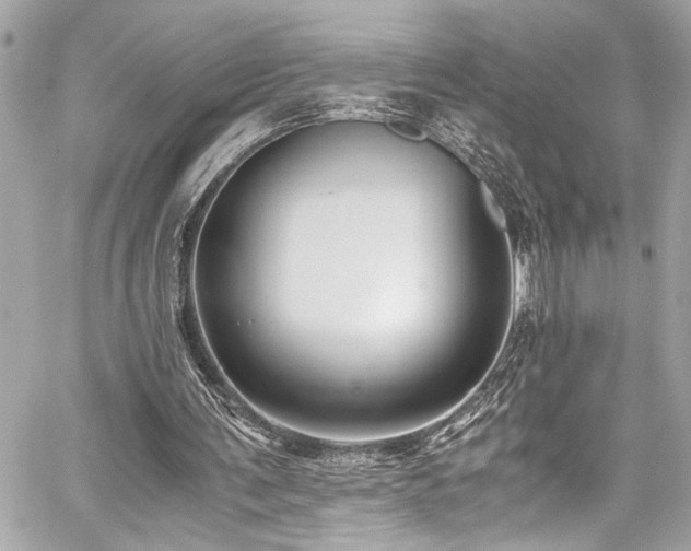 X0000059090291200510071145