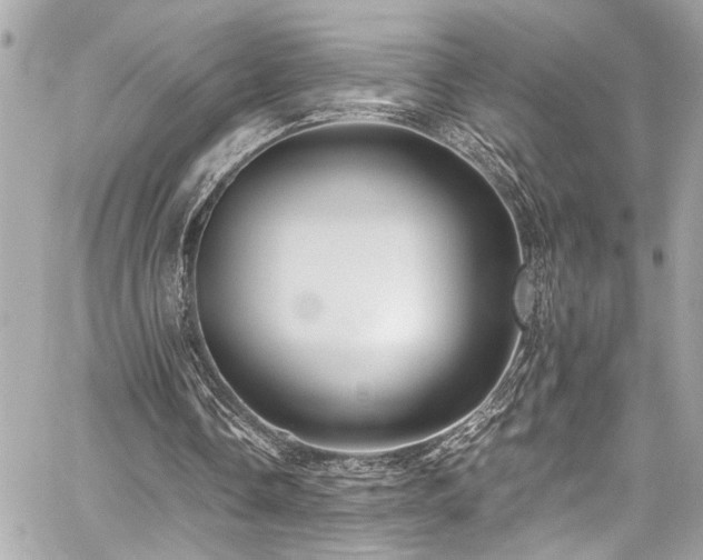 X0000059090338200510071143