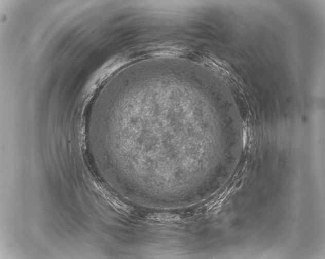 X0000059090339200510071143