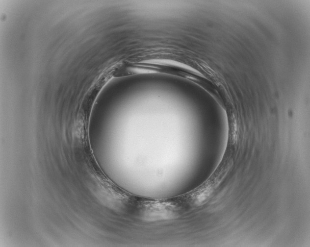 X0000059090379200510071144
