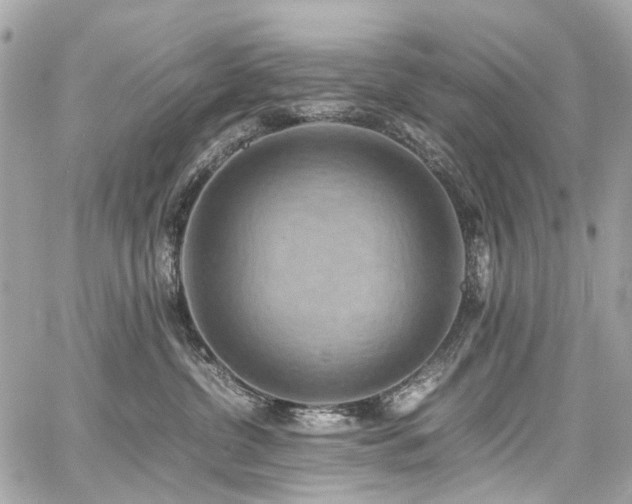 X0000059090380200510071144