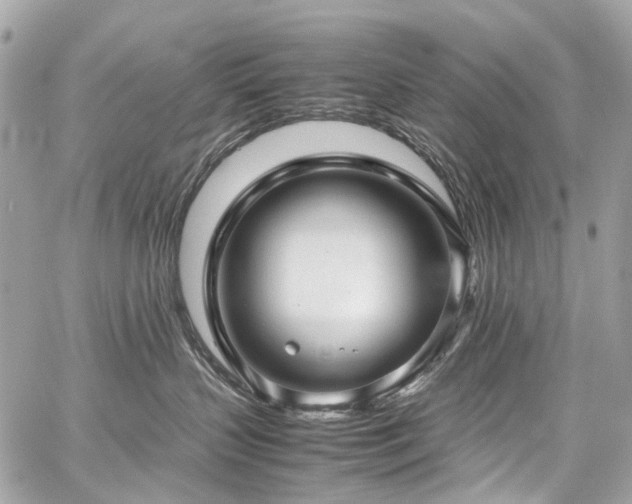 X0000059090383200510071144