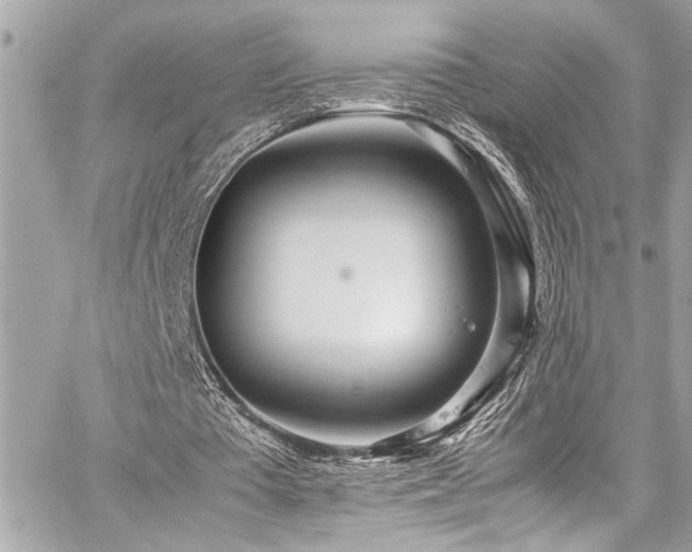 X0000059090385200510071143